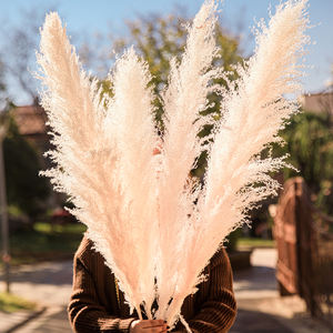 120cm Natural Blanco Gris Seco Pampas Hierba Decoración de la boda Total Petaca <span class=keywords><strong>Cortaderia</strong></span> para ocasiones de Navidad - Product Image 6