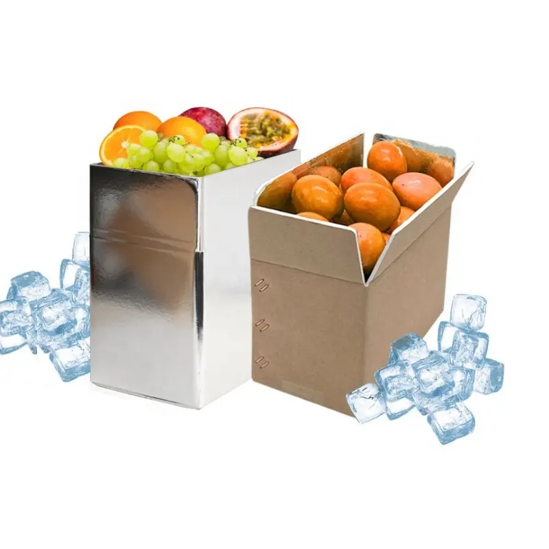 Sebze meyve dondurulmuş ürünler taze balık et buz soğuk yalıtım nakliye kağıt paket kutuları alüminyum folyo ile köpük