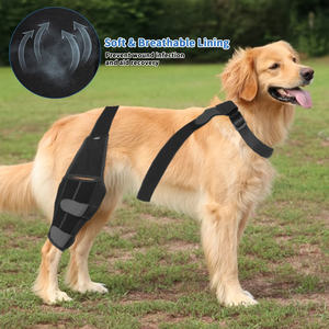 Genouillère pour chien pour patte arrière acl déchirée, attelle de jambe de chien pour l'<span class=keywords><strong>arthrose</strong></span>, les blessures au ligament croisé ou la récupération après une attelle acl pour chien - Product Image 2