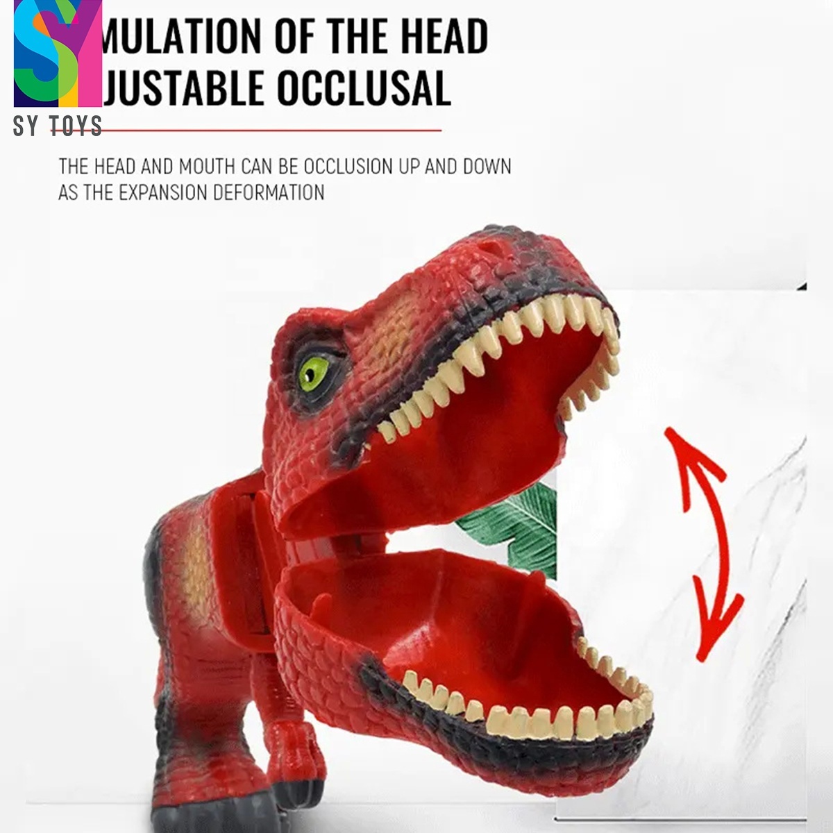 272462_6