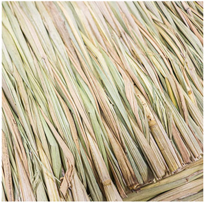 Tapis de lit tissé en paille naturelle d'herbe, petit Animal, literie, jouets à mâcher, jouet de jeu, cochon d'inde, perroquet, lapin, Hamster - Product Image 6