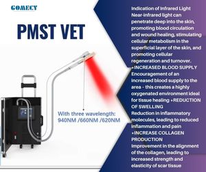 Vật Lý Trị Liệu Thiết Bị <span class=keywords><strong>Laser</strong></span> Điều Trị Đau Ngựa Magneto Vật Lý Trị Liệu Pemf Điều Trị Từ Tính Thiết Bị - Product Image 6