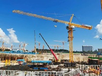 12T 60M HAISHAN Grue à tour de construction, Moteur, Boîte de vitesses, Roulement, Moteur, Cabine de commande à distance, Interrupteur de fin de course, Système de levage H336B-HS6036