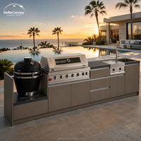Meuble de cuisine extérieur moderne de luxe en acier inoxydable sur mesure avec porte vitrée, évier, robinet, charnière, tiroir coulissant et panier pour appartement
