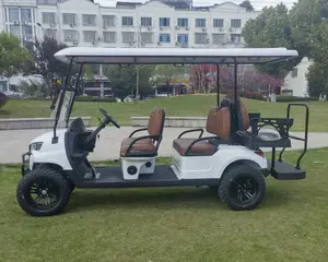 Carro de golf de 6 pasajeros alimentado por gas certificado EPA con motor de gasolina a la venta/carro de golf de 6 plazas con motor de gasolina