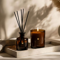 Diffuseur d'arômes AIKUN, coffret cadeau exquis, étiquette personnalisée, sans BPA, ambiance chaleureuse et accueillante pour l'entrée, décoration d'intérieur, diffuseur à bâtonnets
