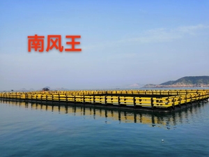 Jaula para Peces de HDPE de Nivel Básico, 30m de Perímetro para Nuevos Pescadores - Product Image 3