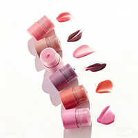 Essence pour les lèvres 3 en 1 personnalisée, 6 couleurs, huile hydratante pour les lèvres, teinture pour les lèvres, vente en gros, soin des lèvres, maquillage