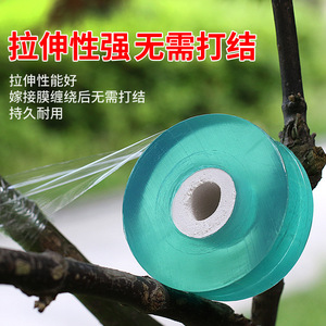 Pvc Grafting Film 2Cm Wide Transparent Self Adhesive Tape For Fruit Tree Grafting - Product Image 4