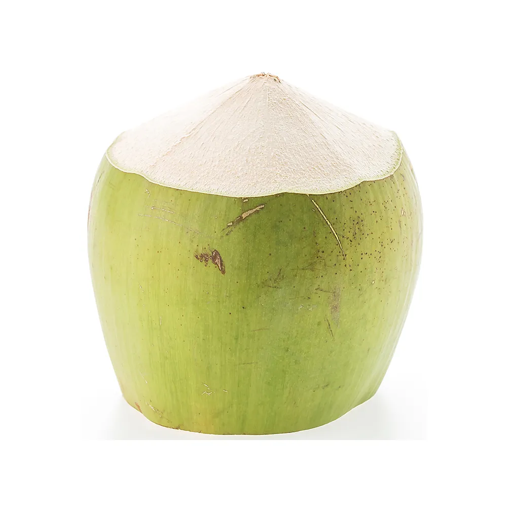 최고의 품질과 최고의 제품 녹색 반 껍질 신선한 <span class=keywords><strong>코코넛</strong></span>