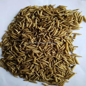 Hermetia Illucens séché riche en protéines - Complément alimentaire pour volailles pour poules et coqs - Product Image 5