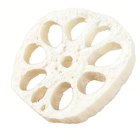 Poudre de racine de lotus 100% naturelle lyophilisée, technologie de conservation de la fraîcheur, goût sucré et rafraîchissant