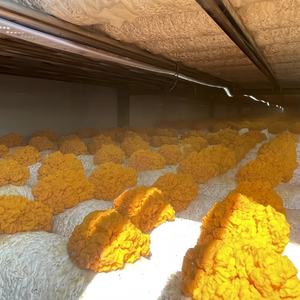 Chambre de culture de champignons modulaire, conteneur de culture, armoire de plantation, chambre de culture, serre de culture de champignons, usine - Product Image 6