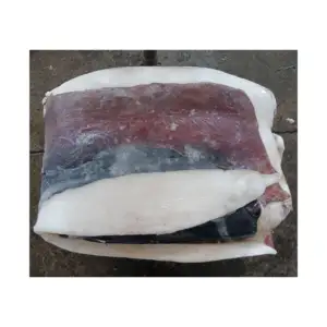 X366 fabricante al por mayor carne de calamar gigante HACCP filetes de calamar gigante congelado piel en