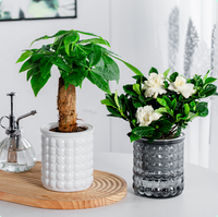 Pot de fleurs en plastique à texture bulle auto-arrosante, transparent, petit, pour plantes d'intérieur, hydroponie, décoration de la maison