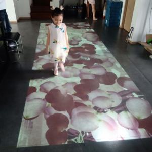 <span class=keywords><strong>Defi</strong></span> Offre Spéciale professionnel interactive système de projection au sol avec <span class=keywords><strong>100</strong></span> effets gratuits - Product Image 6