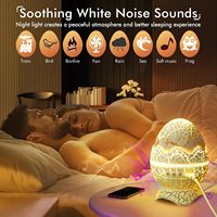 Moderne Dinosaure Oeuf Étoile Projecteur À Distance BT Musique Haut-Parleur LED Océan Vague Veilleuse Galaxie Ciel pour Enfants Adulte Chambre Décor
