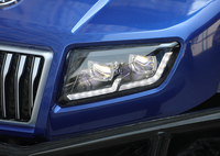 HDK EVOLUTION D5 Maverick Электрический 2 + 2 4-местный новый плюс модель Горячая Распродажа литиевая батарея Гольф-кар