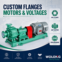 Pompe multi-étages à double aspiration haute pression pour centrale électrique, grande capacité, OEM