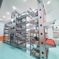 Solution de projet d'élevage intégré pour 20 000 volailles, optimisant les efforts et l'optimisation des coûts, avec retour sur investissement élevé, gestion automatisée et cage à poules pondeuses de type H automatique
