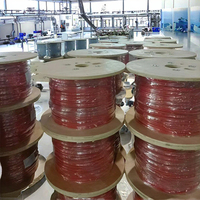 Cable Solar Fotovoltaico de Cobre Estañado en Oferta, Aislamiento XLPE, 4mm 6mm 8mm 10mm, Cables de Energía Solar para Uso Industrial