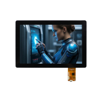 10,1 pulgadas 1024*600 Resolución 500NITs Pantalla táctil IPS Pantalla LCD de tipo TFT con interfaz de HD-M