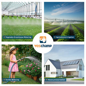 Prix usine usage domestique Vortex Qb60 Qb80 1/2hp pompe à <span class=keywords><strong>eau</strong></span> pour irrigation Booster centrifuge - Product Image 5