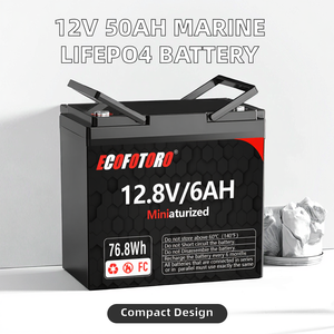 Ecofotoro 12V 6Ah 76.8wh lăng trụ <span class=keywords><strong>Lithium</strong></span> Ion chu kỳ sâu pin mini <span class=keywords><strong>Lithium</strong></span> LiFePO4 có thể sạc lại gói - Product Image 6