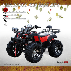 <span class=keywords><strong>Quad</strong></span> à transmission automatique à chaîne <span class=keywords><strong>250cc</strong></span> 2WD à vitesse maximale supérieure LNA pour adultes - Product Image 2