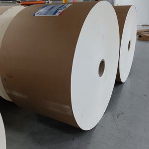 Rouleau de papier alimentaire enduit de PE pour la fabrication de gobelets/contenants alimentaires - Product Image 5