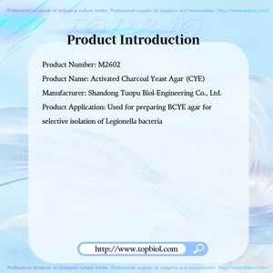 Agar à l'extrait <span class=keywords><strong>de</strong></span> <span class=keywords><strong>levure</strong></span> <span class=keywords><strong>de</strong></span> <span class=keywords><strong>charbon</strong></span> (base d'agar Legionella CYE) utilisé pour l'isolement sélectif <span class=keywords><strong>de</strong></span> Legionella sur agar BCYE - Product Image 2