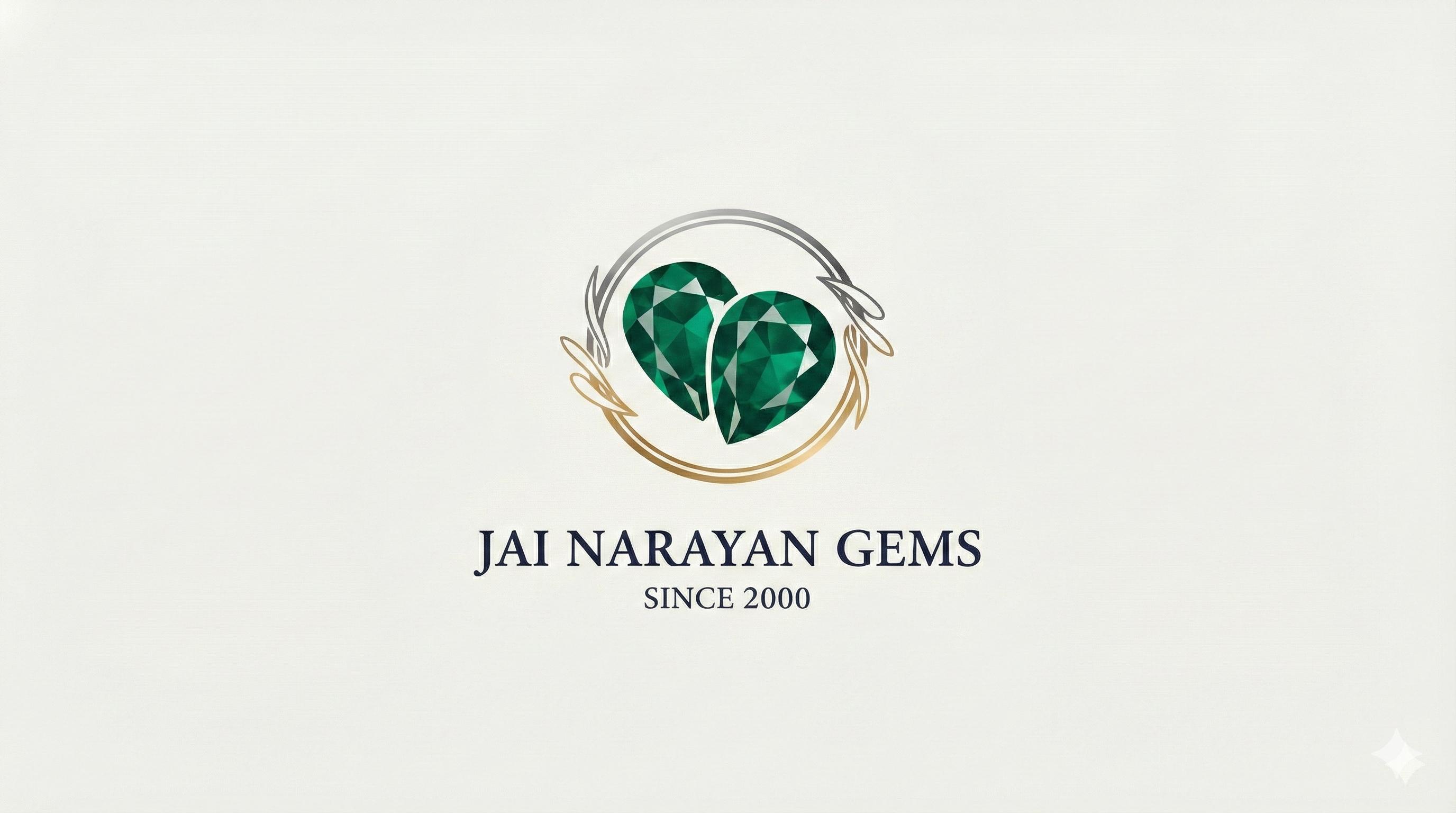 JAI NARAYAN GEMS logo