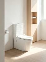 WC en céramique à chasse d'eau par siphon, puissance de chasse forte, fonctionnement silencieux, économie d'eau, anti-odeurs, lavabo monobloc, hôtel