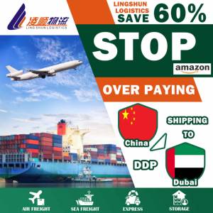 Spedizioniere Cinese, Trasporto Marittimo Veloce LCL+Express, <span class=keywords><strong>Dubai</strong></span> <span class=keywords><strong>Guangzhou</strong></span>/Yiwu, Fornitore Popolare di Servizi di Spedizione in Cina - Product Image 2