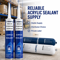Mastic acrylique pour chantier, pour collage de panneaux, application facile, anti-affaissement, mastic acrylique mural pour joints de plinthes, mastic acrylique fin pour murs