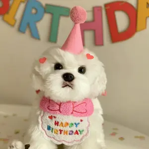 Toptan pet doğum günü partisi şapka & atkı önlükler köpek doğum günü sevimli bandana kedi taç set pet doğum günü partisi aksesuarları