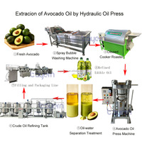 Presse hydraulique multifonctionnelle commerciale pour beurre et huile, machine de pressage à froid pour fèves de cacao, à vendre