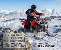 Quad 125CC 4 temps tout-terrain pour neige, plage et glace, véhicule à quatre roues pour location sur terrain enneigé