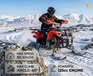 Motocicleta todoterreno <span class=keywords><strong>de</strong></span> 125 CC y 4 tiempos, vehículo cuatrimoto para nieve, hielo y playa, para <span class=keywords><strong>alquiler</strong></span> en campos nevados. - Product Image 2