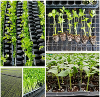 Semoir à plateaux pour diverses graines de légumes, facile à utiliser, pour semis de melons et de choux