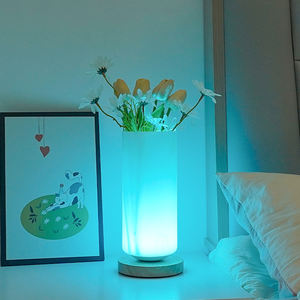 Nordique moderne Design lampe de Table chaud veilleuse créative Simple japonais verre chevet Vase cristal corps chambre atmosphère - Product Image 3