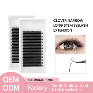 Label privé coréen PBT Crisscross Volume Extensions <span class=keywords><strong>de</strong></span> <span class=keywords><strong>cils</strong></span> 0.07 Trèfle à trois feuilles Design Soft Light 3D 4D 5D Lashes - Product Image 2