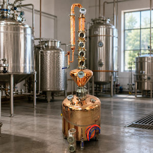 Alambique de Cobre de <span class=keywords><strong>6</strong></span> Pulgadas para Producción de Ginebra, 100L, 200L, 300L, Equipo de Destilación para Destilerías - Product Image 2