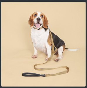 Collier pour <span class=keywords><strong>chien</strong></span> et chat réglable en nylon réfléchissant de haute qualité avec bande pour AirTag et <span class=keywords><strong>GPS</strong></span> - Product Image 4
