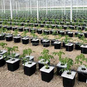 Système de seaux aéroponiques commerciaux 20 pièces, système de seaux Bato avec coude de siphon spécialisé pour systèmes d'irrigation goutte à goutte hydroponiques - Product Image 3