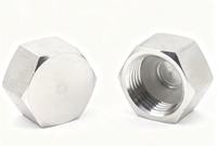 NES-1830 Penutup Pipa Heksagonal Eksternal Baja Tahan Karat Tekanan Tinggi Langsung dari Pabrik, 4mm, 5mm, Kepala Tahan Air dengan Ulir Internal
