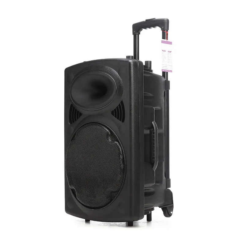 130 Watts12 pouces extérieur Dj Trolley haut-parleur extérieur Trolley haut-parleur haut-parleurs professionnels