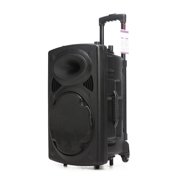 130 Watts12 Inch Outdoor Dj Trolley Speaker Outdoor Trolley Speaker Professional Speakers