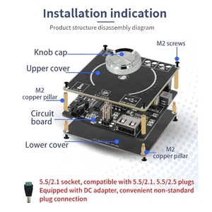 XY-D50L Digital Stereo <b>Amplifier</b> Board, 50W+50W Dual Channel Amp Module <b>with</b> Volume Spectrum Music Rhythm LED Light - Product Image 2