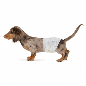 Basics-Couches pour chien mâle, 30 fils, petit, enveloppe jetable ultra absorbante avec ajustement sécurisé, étanche et confortable - Product Image 1